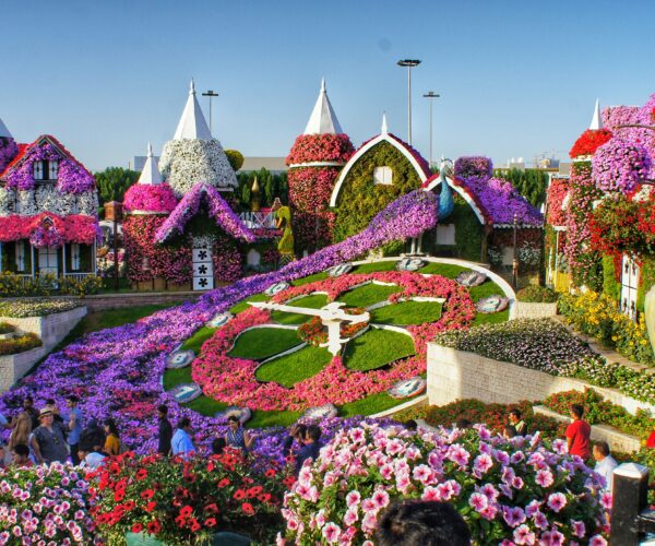 Miracle Garden
