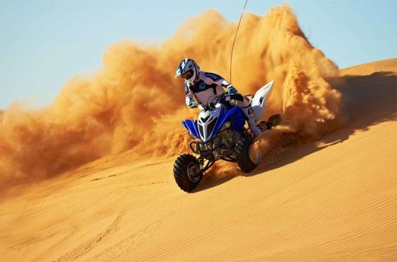 VIP Desert safari + Quad Bike Package